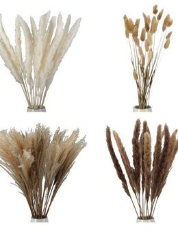 GILDE Dekoobjekt Bündel Trockenblume Seco naturfarben H. 53 cm (1 St)