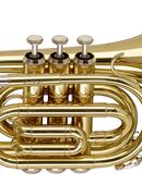 Taschentrompete von Stagg in 73479