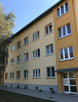 Erdgeschoßwohnung sucht Nachmieter - Schwetzingen