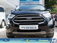 Ford EcoSport Titanium Navi CarPlay Klimaautomatik WL - Schwäbisch Hall Zentrum