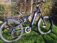 E-Bike Shengmilo M06 - Einhaus