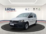 VW Caddy Kombi EcoProfi 1.0 TSI Klima, AHK - Lengerich (Niedersachsen)