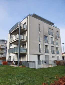 Licht & Lebensfreude auf 120m² – Ihre Gartenwohnung Nr.2 in der Leupoldstraße 8 - Fürth
