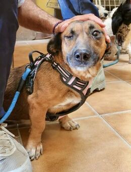 Mathilde, lernwillig, freundlich, offen - Westerholt