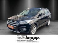 Ford Kuga 1.5 EcoBoost TitaniumNavi,SHZ - Weinheim