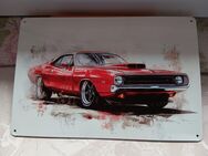 Tolles Auto Blechschild 30x20cm - Harrislee