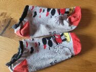 Sehr intensiv riechende Socken - nur für echten Geniesser! :) - Fulda