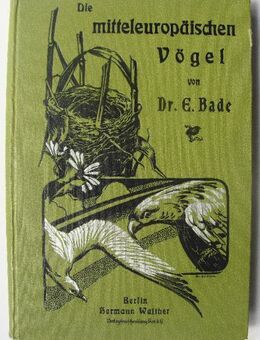 Die mitteleuropäischen Vögel. Naturgeschichte, Lebensweise, Jagd, von 1904 - Königsbach-Stein