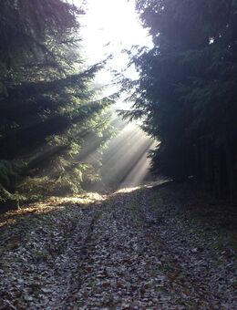 Attraktiver gepflegter schlanker Mann (66J.) sucht die jung gebliebene Frau ab ca.35 Jahre - Haltern (See)