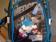 Konsolencase für die ds lite Sonic the hedgehog - Bredstedt