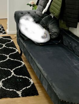 Chaiselongue - Bremen