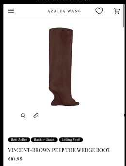 Azalea Wang Vincent Brown peeptoe wedge boots - Stuttgart Zentrum