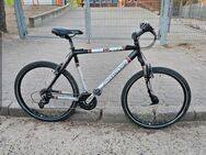 Alu Herren Fahrrad MTB Bergamont, 26", 24 Gänge, RH 50 cm, fahrbereit - Schwerin