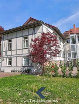 helle 1-Zi.-Whg. mit Einbauküche und Gartennutzung - Mühlhausen (Thüringen)