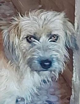 Mony - Rotenburg (Fulda)