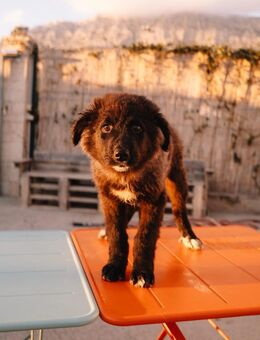 Entdeckerin Milena - Ellerbek