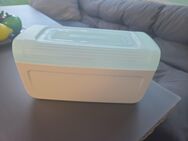Tupperware toatbrotbox neu - Vilshofen (Donau)