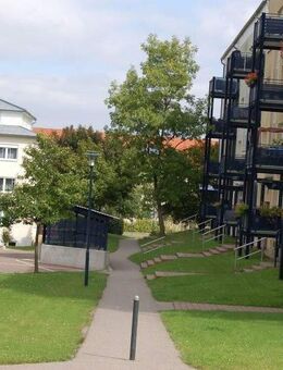 Charmante 2-Zimmerwohnung mit Terrasse - Naumburg (Saale)