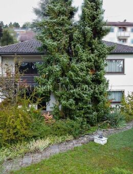 Ihr zukünftiges Traumhaus! Einfamilienhaus mit großem Garten in Vaihingen/Enz - Vaihingen (Enz)