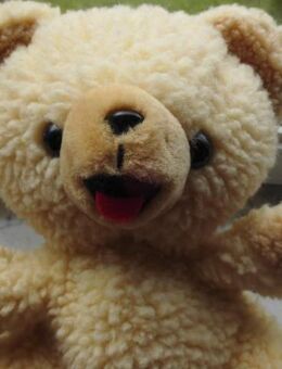 2 Plüsch-Handpuppen Affe+Bär zus. 8,- Teddybär Plüschtiere Stofftiere Kuscheltiere - Flensburg