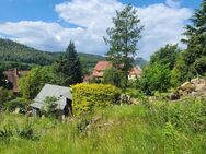 Bauträgerfreies Grundstück in Bad Schandau mit Elbblick für 1 oder 2 Baukörper - Bad Schandau