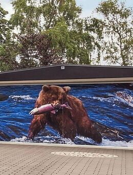 CATCH OF THE DAY...! - Hamburg