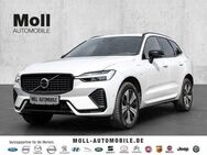 Volvo XC60 Plus Dark Recharge Plug-In Hybrid AWD T8 Twin Engine EU6e Allrad StandHZG digitales Cockpit - Aachen