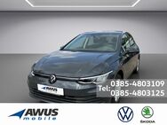 VW Golf, 1.0 TSI VIII Life, Jahr 2021 - Schwerin