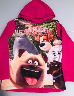 Mädchen Bluse Hoodie Kapuzenpullover Pulli Kapuze The Secrets Life of Pets Illumination Entertainment Pet Society Gr. 158 - Albstadt
