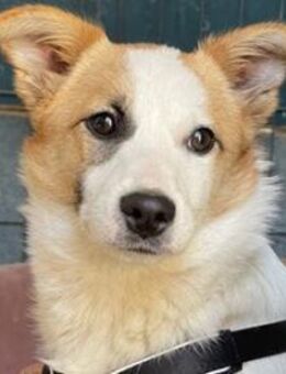 Jenna möchte endlich ankommen - München