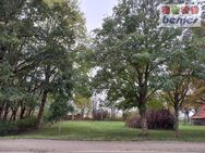 Großzügiger Bauplatz in Dorflage mit herrlichem Baumbestand - Hilgermissen