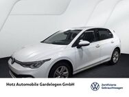 VW Golf, 2.0 TDI VIII Life, Jahr 2024 - Gardelegen (Hansestadt)