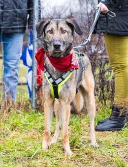 Anouk sucht eine erfahrene Familie - Spenge