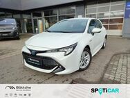 Toyota Corolla, 1.8 Hybrid Business Edition, Jahr 2021 - Gräfenhainichen