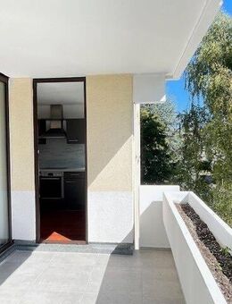 Renovierte 3 Zimmer Wohnung mit TG Stellplatz - Konstanz