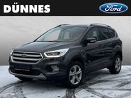 Ford Kuga, 2.0 TDCi Diesel Titanium, Jahr 2019 - Regensburg