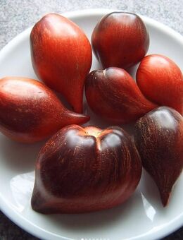 Tomaten Saatgut Sophias Fiery Comet - Sulzbach-Rosenberg