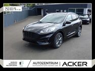 Ford Kuga, 1.5 EcoBlue ST-Line iACC, Jahr 2023 - Bad Berleburg