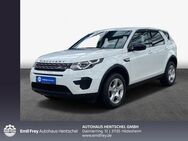 Land Rover Discovery Sport, eD4 Pure, Jahr 2019 - Hildesheim