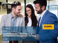 Kaufmännische:r Mitarbeiter:in Stammdatenmanagement (m/w/d) - Ulm