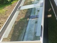 Dringend Aquarium ab zugeben 260x50x60 - Thonhausen