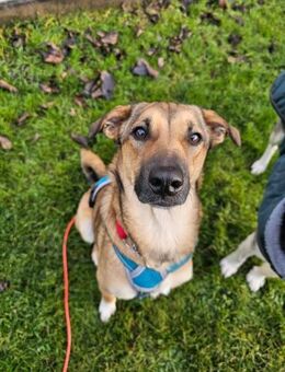 Malou sucht das große Glück - Ottweiler