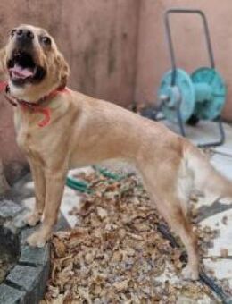 Mini Milena - auf Suche nach Abenteuern - Mettmann