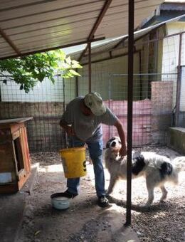 HERO -mit Vorsicht Begeisterung anbahnen - Overath