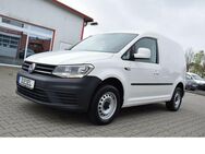 VW Caddy Kasten Trend BMT SHZ AHK Standhz Regal - Garrel