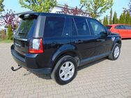 Land Rover Freelander 2 TD4 S*Leder*AHK*Schiebedach*BiXenon - Rheinbach