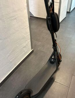Segway ninebot zu verkaufen - Bergkamen Zentrum