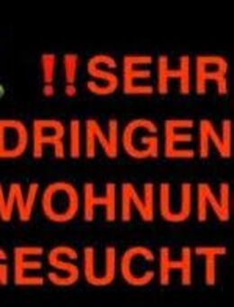 !! Sehr dringend Wohnung Gesucht!! - Hauenstein