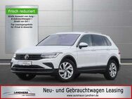 VW Tiguan 1.5 TSI Move // ACC/beh. WSS/Kamera/LED - Thannhausen