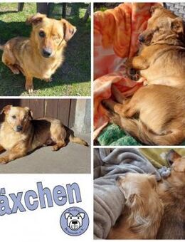 MÄXCHEN * sieht mit dem Herzen - Duisburg